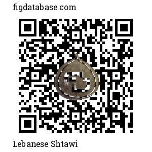 Lebanese Shtawi QR Code