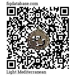 Light Mediterranean QR Code