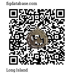 Long Island QR Code