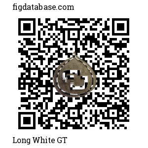Long White GT QR Code