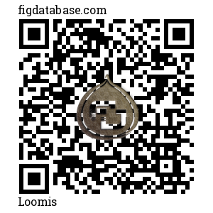 Loomis QR Code