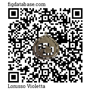 Lorusso Violetta QR Code