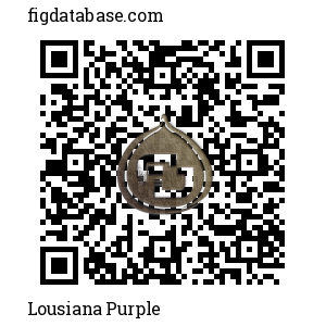 Lousiana Purple QR Code
