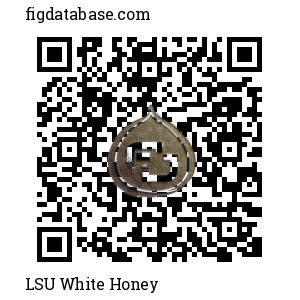 LSU White Honey QR Code