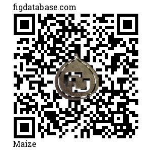 Maize QR Code