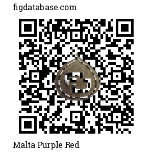 Malta Purple Red QR Code