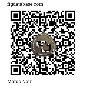 Maroc Noir QR Code