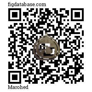 Marohed QR Code