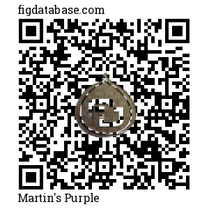 Martin's Purple QR Code