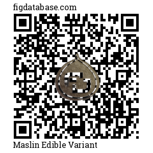 Maslin Edible Variant QR Code