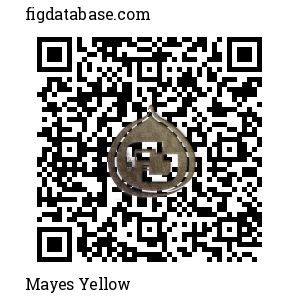Mayes Yellow QR Code