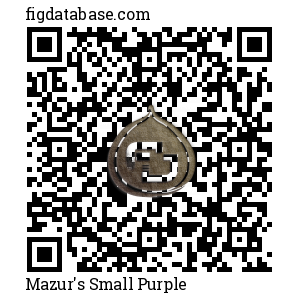Mazur's Small Purple QR Code