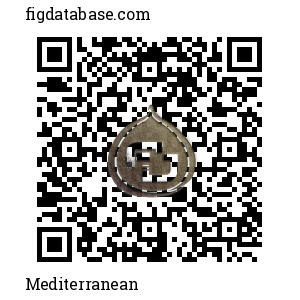 Mediterranean QR Code