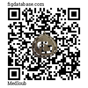Medloub QR Code