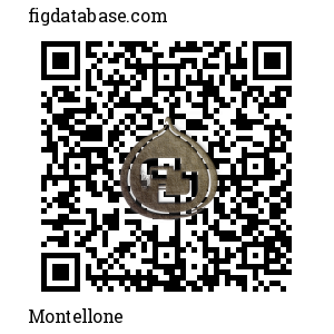 Montellone QR Code