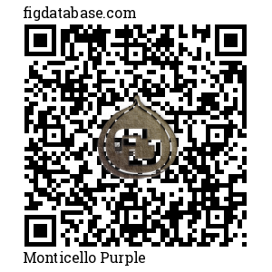 Monticello Purple QR Code