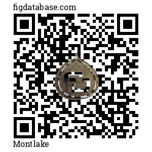 Montlake QR Code