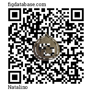 Natalino QR Code