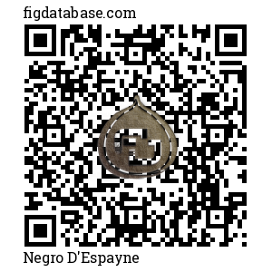 Negro D'Espayne QR Code
