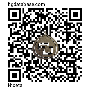 Niceta QR Code