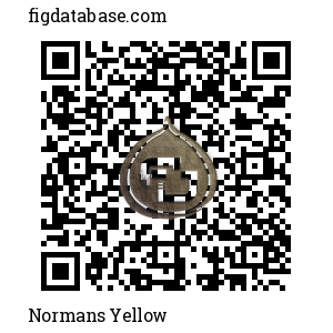 Normans Yellow QR Code