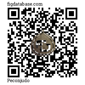Peconjudo QR Code