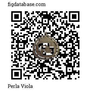 Perla Viola QR Code