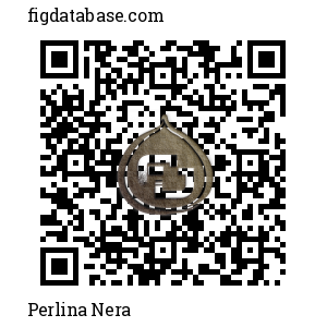 Perlina Nera QR Code