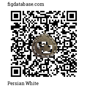 Persian White QR Code