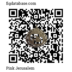 Pink Jerusalem QR Code