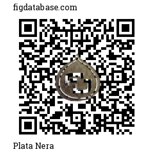 Plata Nera QR Code