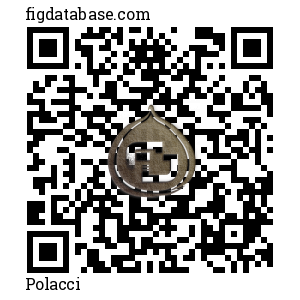 Polacci QR Code