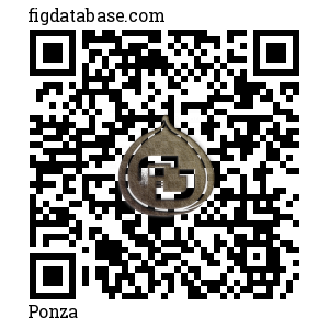 Ponza QR Code