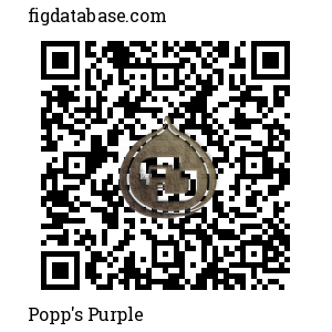 Popp's Purple QR Code