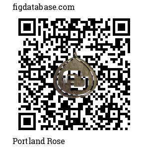 Portland Rose QR Code