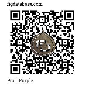 Pratt Purple QR Code