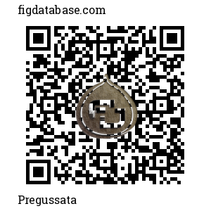 Pregussata QR Code