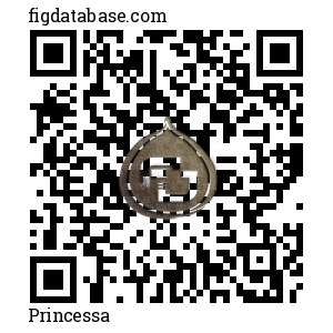 Princesa QR Code