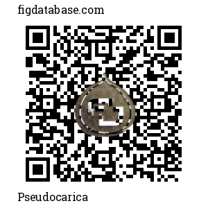 Pseudocarica QR Code