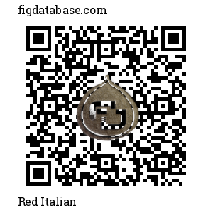 Red Italian QR Code