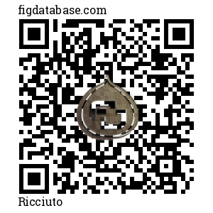 Ricciuto QR Code