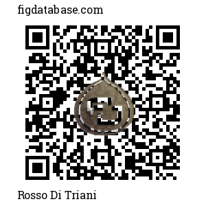 Rosso Di Triani QR Code