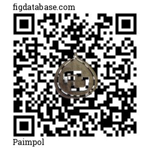 Paimpol QR Code