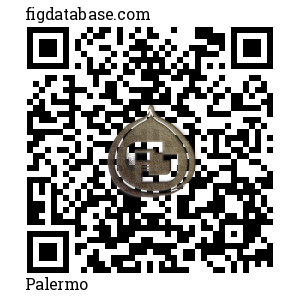 Palermo QR Code