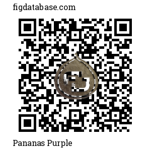 Pananas Purple QR Code