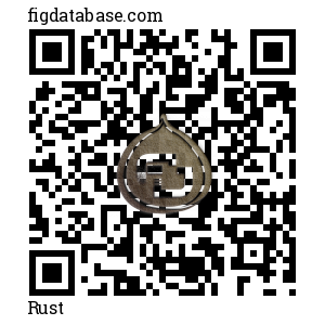 Rust QR Code