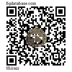 Shirazi QR Code