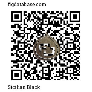 Sicilian Black QR Code