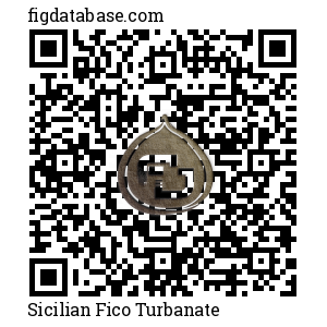 Sicilian Fico Turbanate QR Code