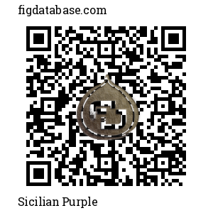 Sicilian Purple QR Code